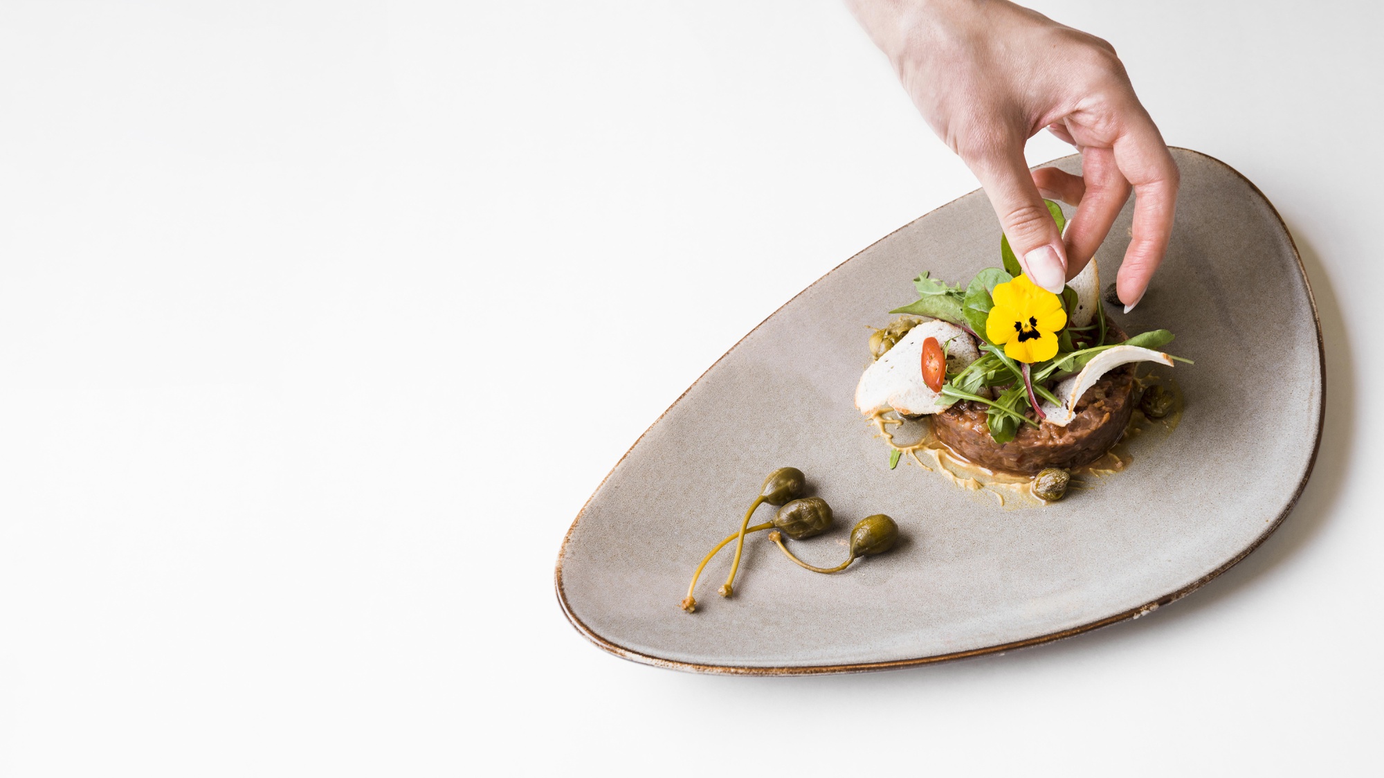gourmet plated dish for consultation showcase